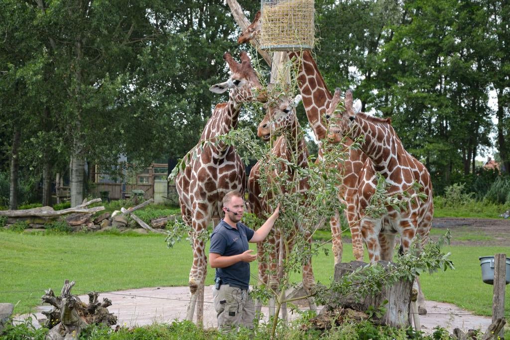 Zooparc Overloon 30% korting, Drie personen of meer, Kortingskaart