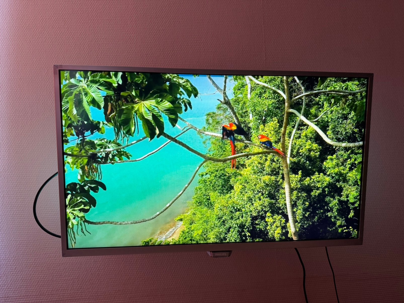 Philips 32 Inch Ambilight, Ophalen, Philips, Gebruikt, 50 Hz