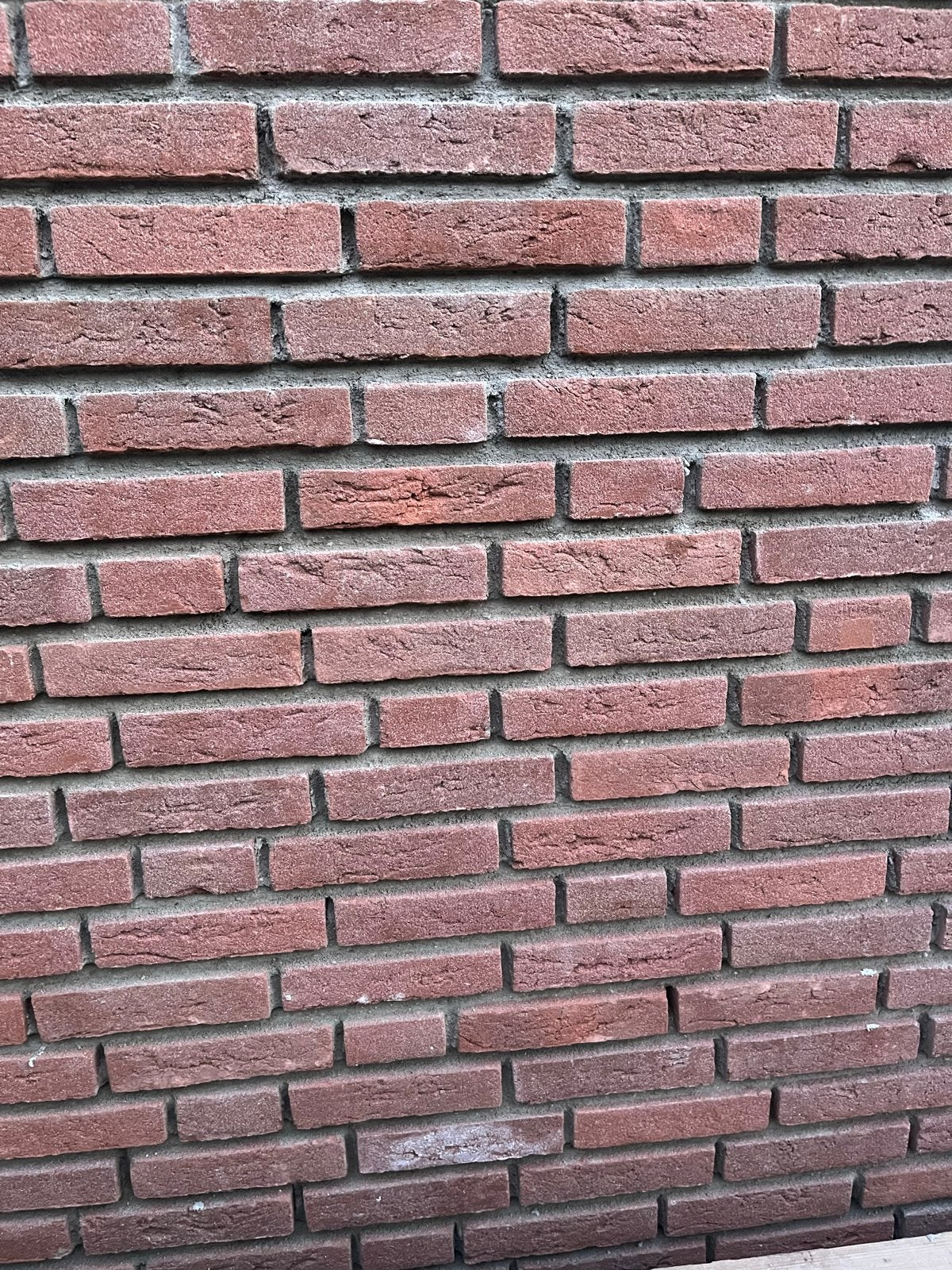 Wienerberger Waalrood HV WF bakstenen - Nieuw, Ophalen, Nieuw, Bakstenen