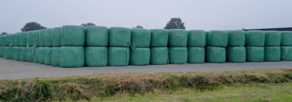 Ronde balen hooi kuilgras paardenhooi foliebalen, Dieren en Toebehoren, Dierenvoeding, Ophalen, Vee