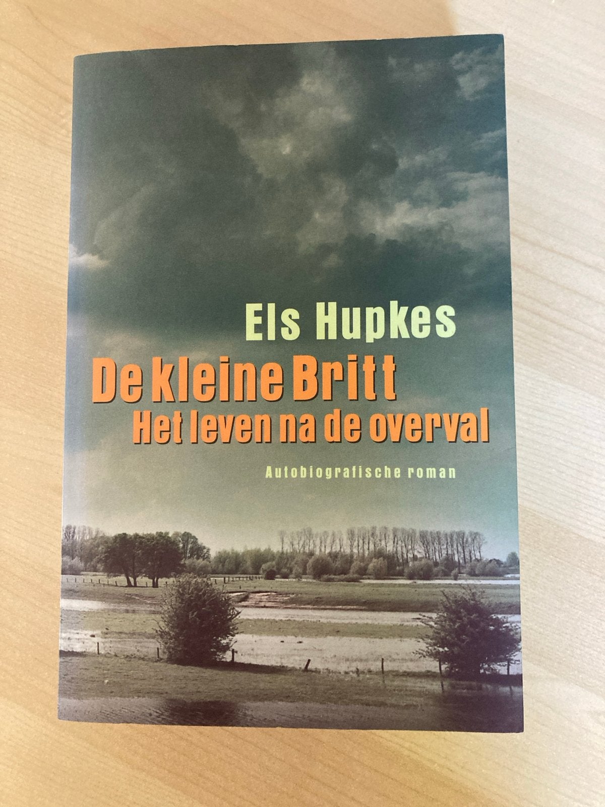 De kleine Britt - Het leven na de overval - Els Hupkes, Ophalen of Verzenden, Zo goed als nieuw, Nederland