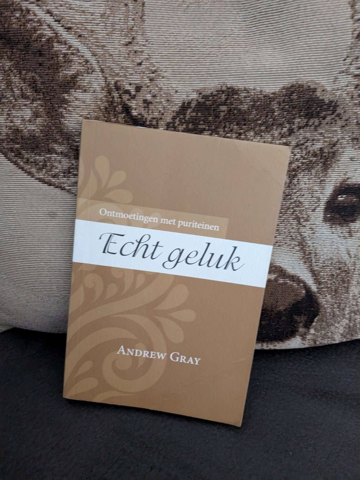 Andrew Gray, Echt geluk, Ophalen of Verzenden, Zo goed als nieuw
