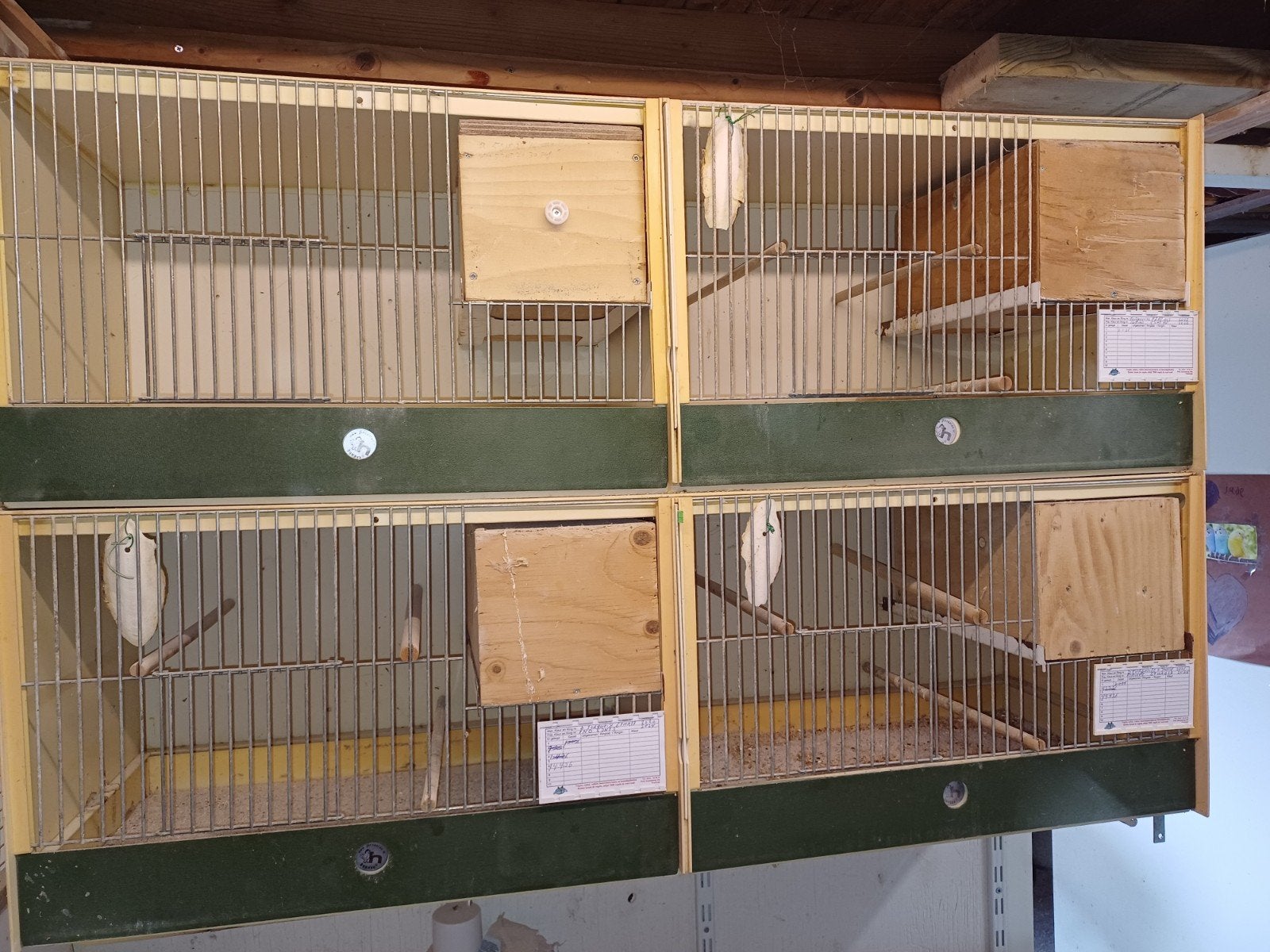 te koop broedkooien, Dieren en Toebehoren, Ophalen, Gebruikt, Kunststof, Broedkooi of Kweekkooi