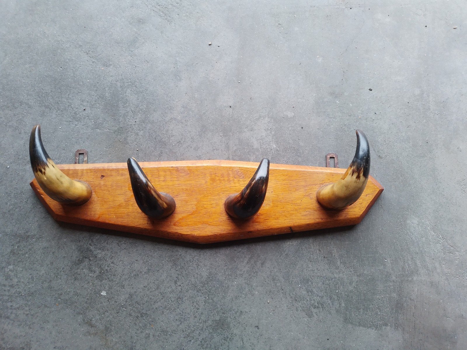 Vintage kapstok van koehoorns, Ophalen, Hout, Wandkapstok, Minder dan 100 cm