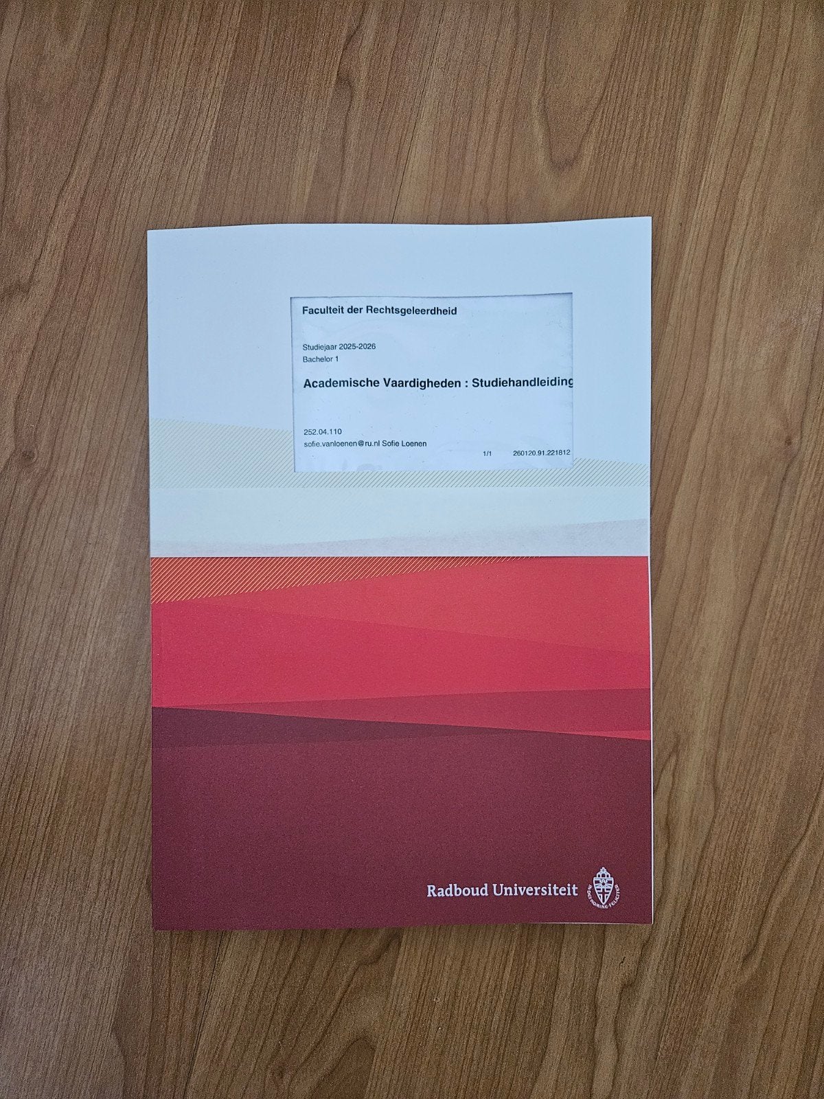 Academische Vaardigheden Studiehandleiding Radboud, Boeken, Ophalen of Verzenden, Gamma, N. van Oosten / S. Loenen, WO