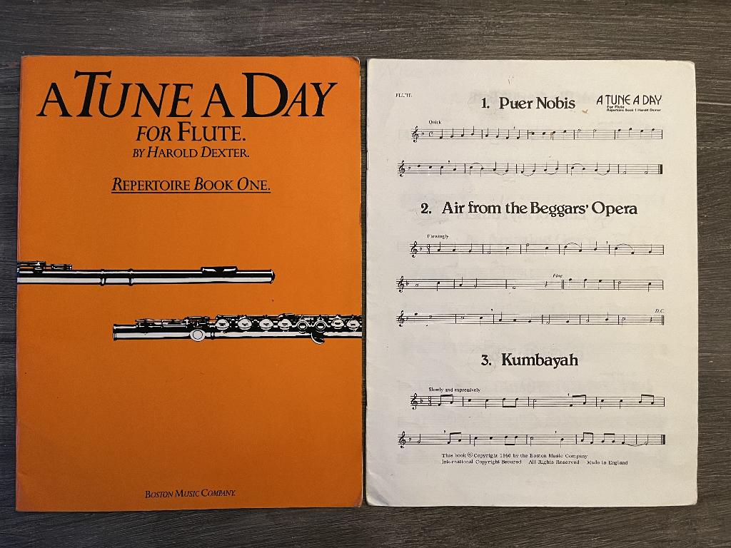 A Tune a Day - Harold Dexter - voor fluit, Dwarsfluit of Piccolo, Les of Cursus, Ophalen of Verzenden, Zo goed als nieuw