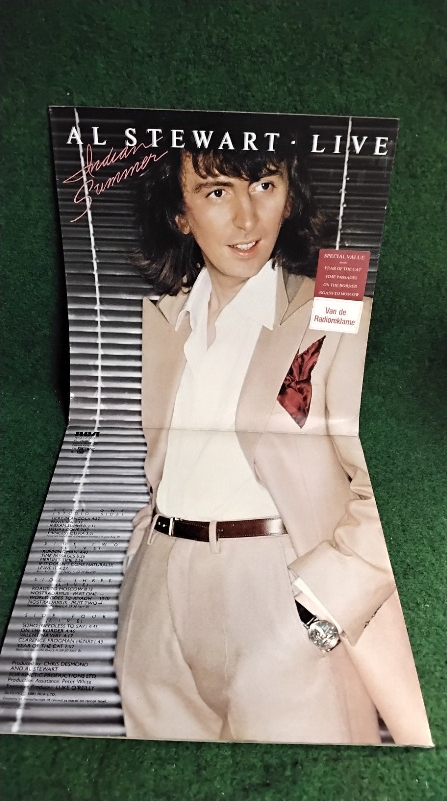AL  STEWART, Ophalen of Verzenden, Gebruikt, 12 inch