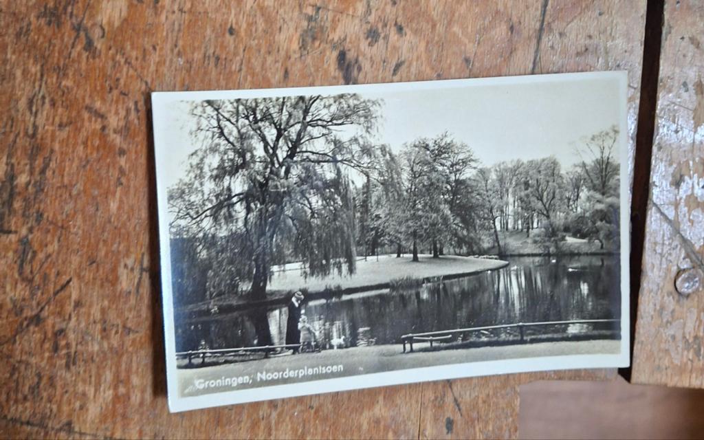 Groningen noorderplantsoen, Ophalen, Groningen