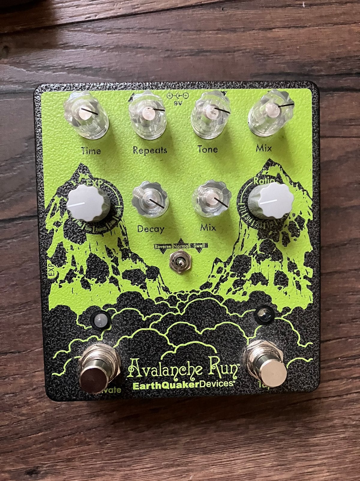 Earthquaker Devices Avalanche Run V2 Delay, Ophalen of Verzenden, Gebruikt