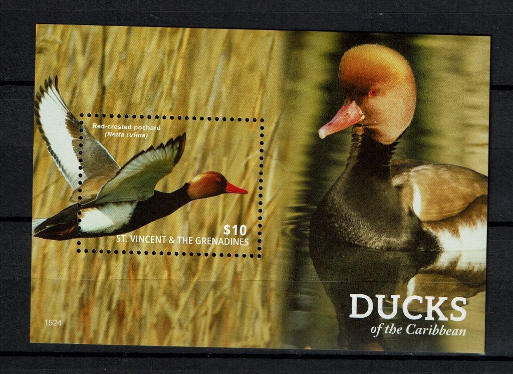 ST VINCENT 2015 PF BLOK KROONEEND DUCKS VOGELS EENDEN 2, Ophalen of Verzenden, Postfris, Dier of Natuur