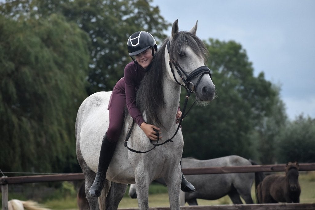 ## MEGA BRAVE en hele makke Epony ruin ##, Dieren en Toebehoren, E pony (1.48m - 1.57m), Ruin, Recreatiepony, Gechipt