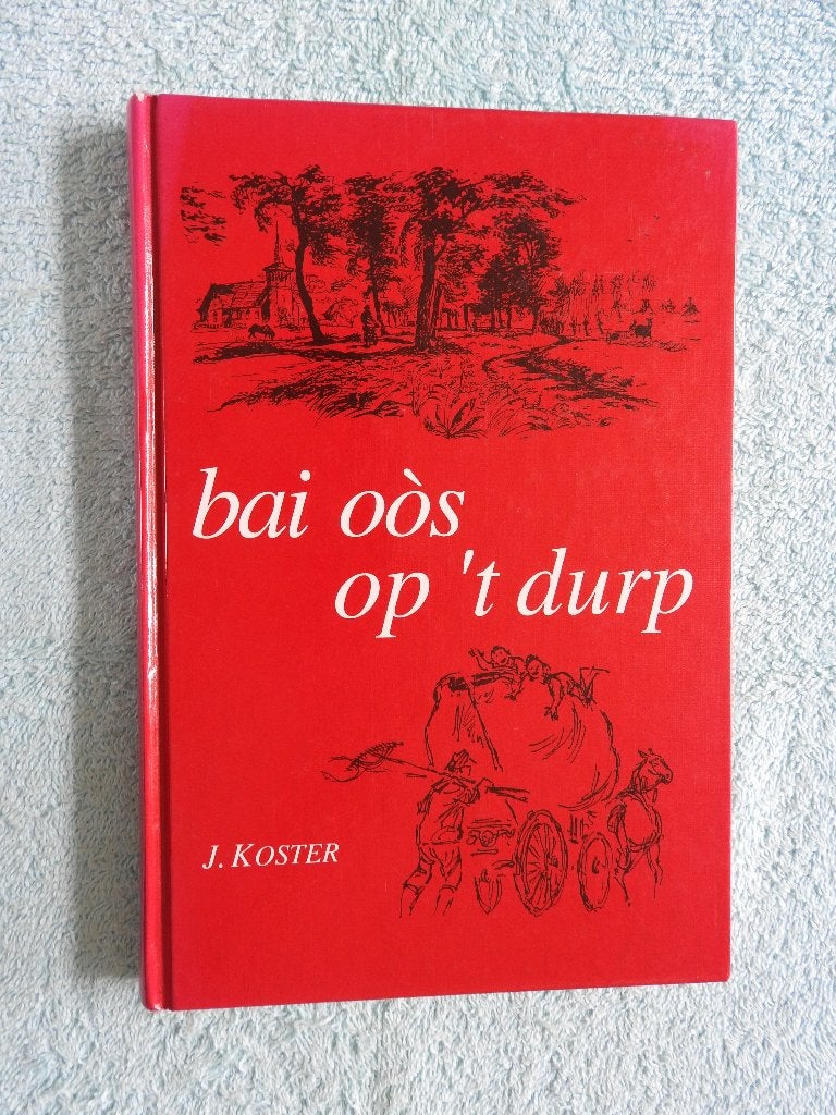 Bai oòs op 't durp - Westfries, Ophalen of Verzenden, Zo goed als nieuw
