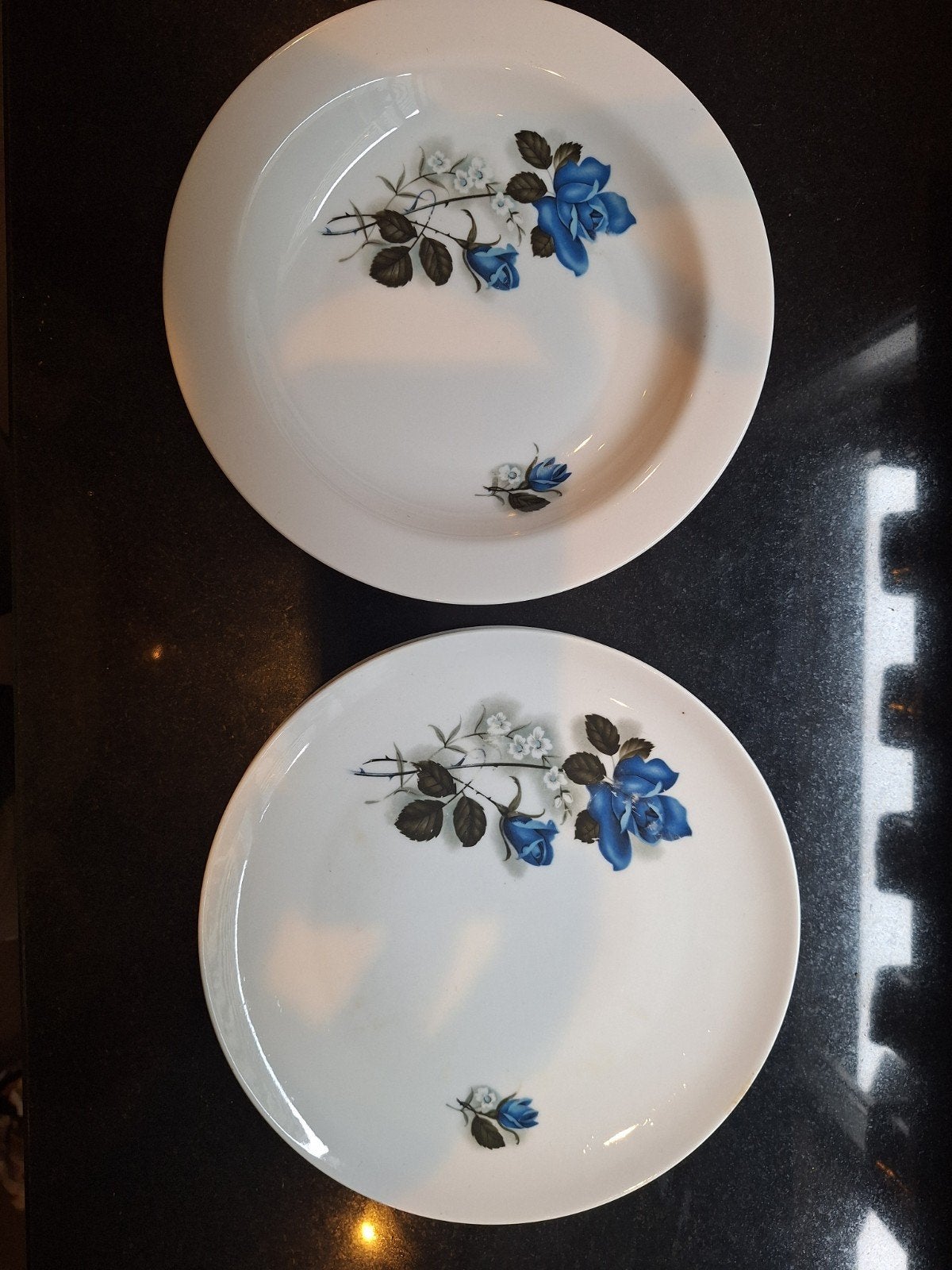 Schumann Arzberg Bavaria borden met blauwe rozen (2 stuks), Ophalen of Verzenden