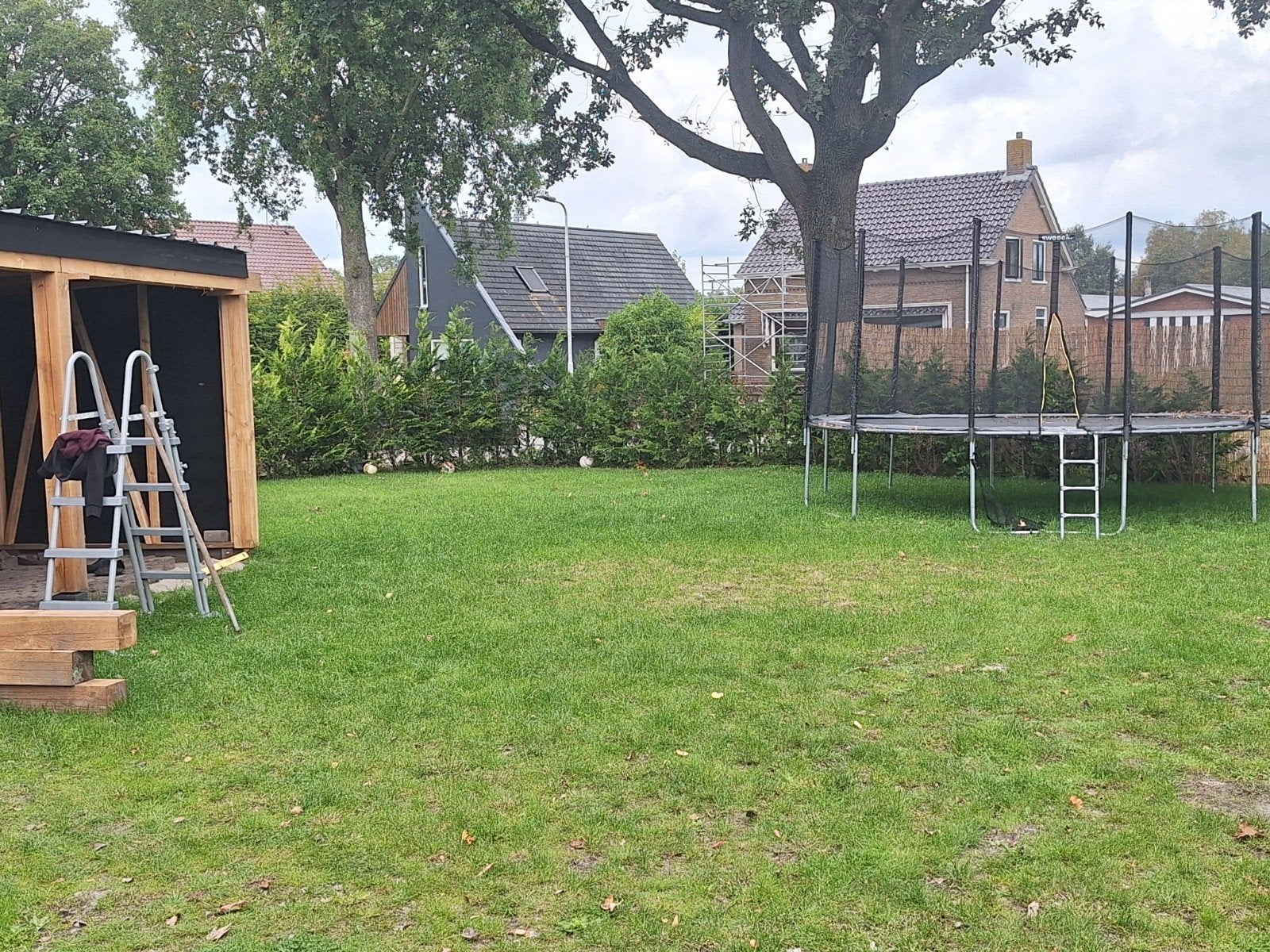 coniferen +-45 stuks, Tuin en Terras, Ophalen, Conifeer, Haag, 100 tot 250 cm