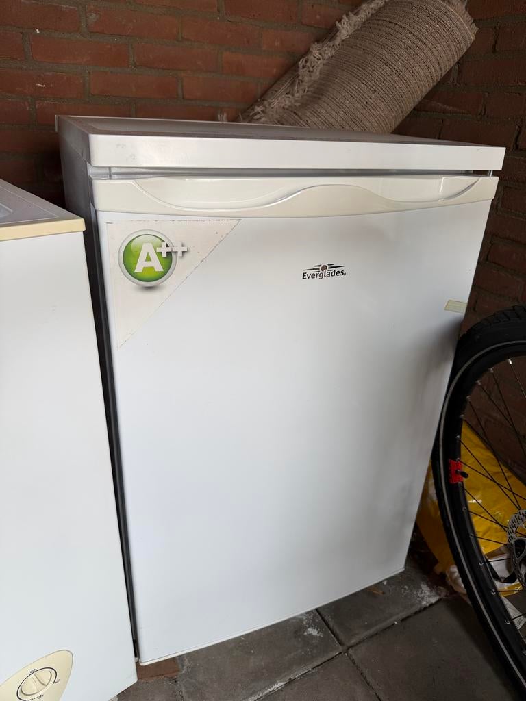 Everglades Koelkast A++ - Compact en Energiezuinig, Ophalen, Energieklasse A of zuiniger, 45 tot 60 cm, Zonder vriesvak