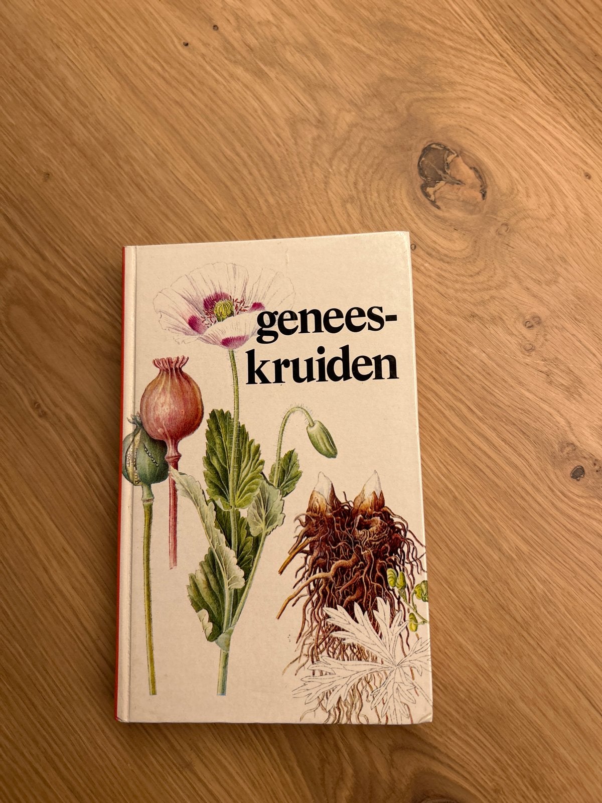 Geneeskruiden: Een gids voor natuurlijke remedies, Ophalen of Verzenden, Gelezen, Kruiden en Alternatief