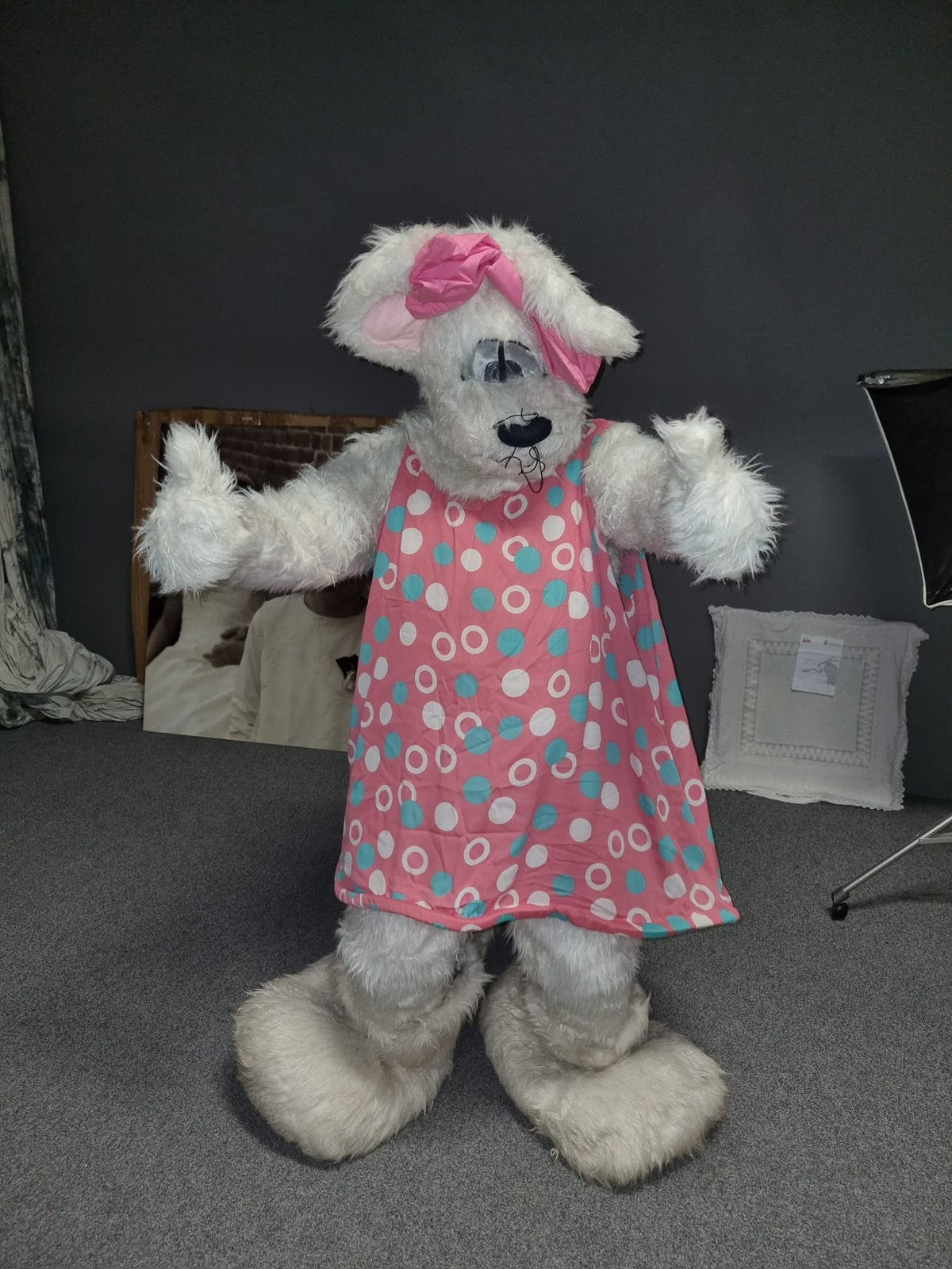 Zeldzaam Diddlina mascottepak | compleet kostuum | Diddl, Ophalen, Diddlina, Gebruikt, Kleding of Textiel