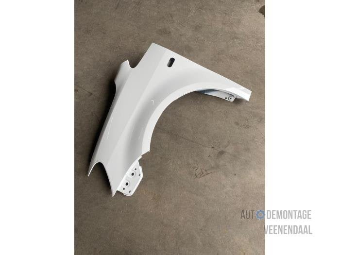 Scherm links-voor van een Volkswagen Caddy (LB9A), -, Volkswagen, -, Nieuw
