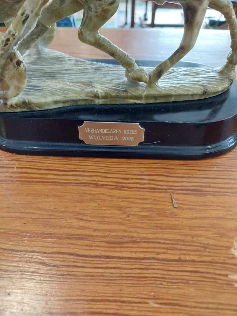 Uniek beeld: Paardenkoers Trofee Wolvega 2005, Ophalen of Verzenden