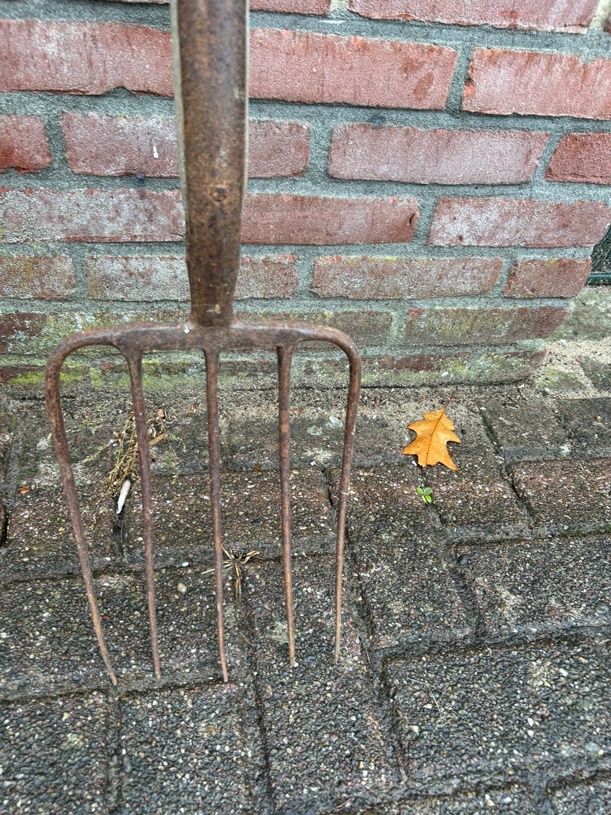 Greep Riek Hooivork, Tuin en Terras, Ophalen, Zo goed als nieuw