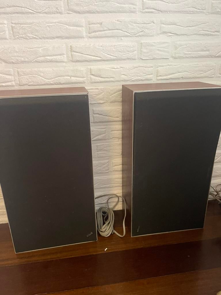 Geluidsboxen bang & olufsen, Audio, Tv en Foto, Luidsprekers, Overige merken, Gebruikt, Ophalen of Verzenden, Minder dan 60 watt