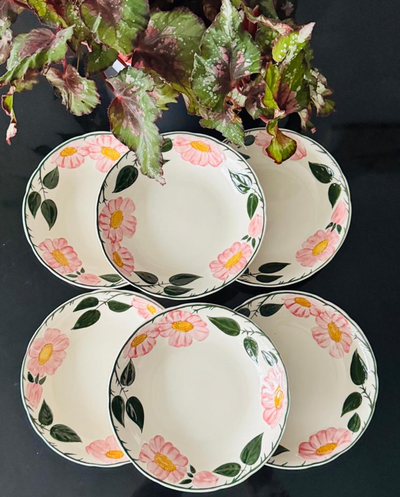 Villeroy & Boch Wild Rose borden 20 cm - 6 stuks, Ophalen of Verzenden, Zo goed als nieuw, Bord(en), Overige stijlen