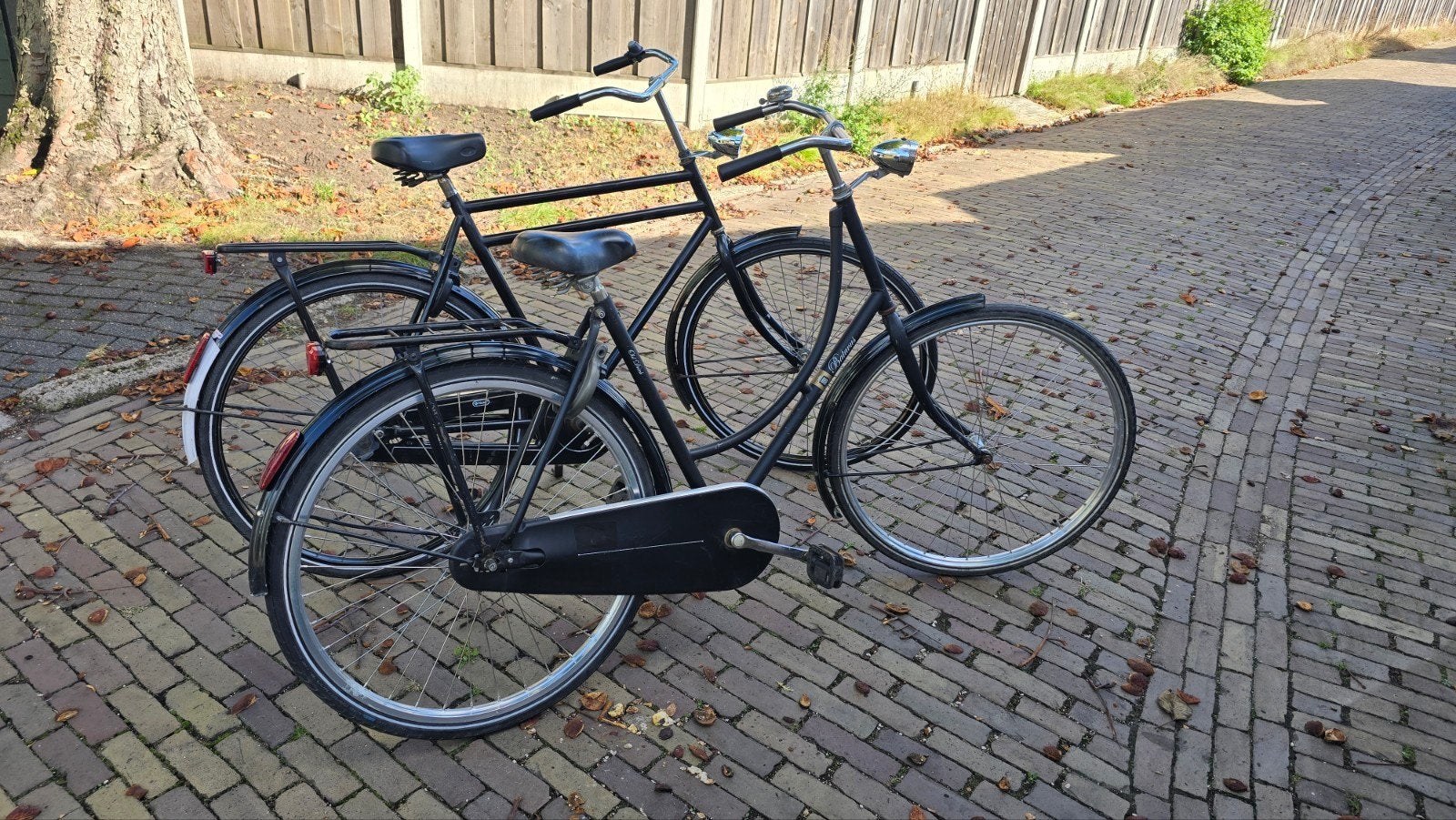 set fietsen herenfiets damesfiets omafiets opafiets, Fietsen en Brommers, Ophalen, Terugtraprem, Gebruikt, Batavus