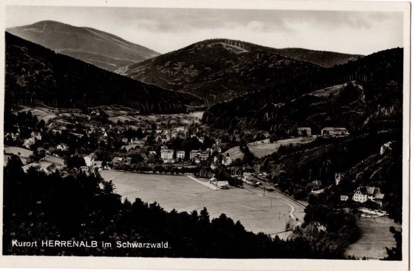 Schwarzwald (Zwarte Woud) 23 zwartwit foto-ansichten, Ophalen of Verzenden, 1980 tot heden, Ongelopen, Duitsland