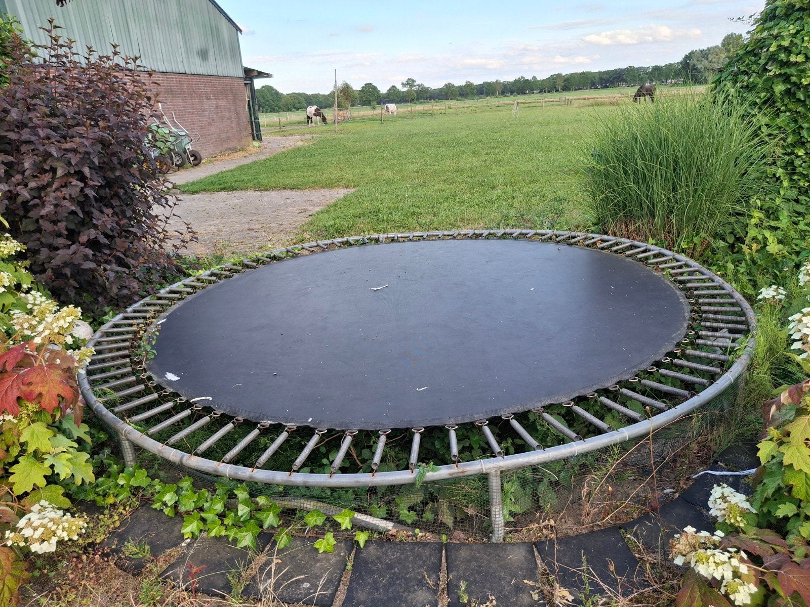 Gratis ronde trampoline voor buiten, Ophalen, Gebruikt