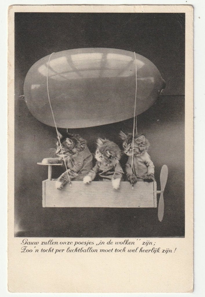Harry Whittier Frees3 kittens in luchtballon / zeppelin, Verzamelen, Verzenden, 1920 tot 1940, Gelopen, Hond of Kat
