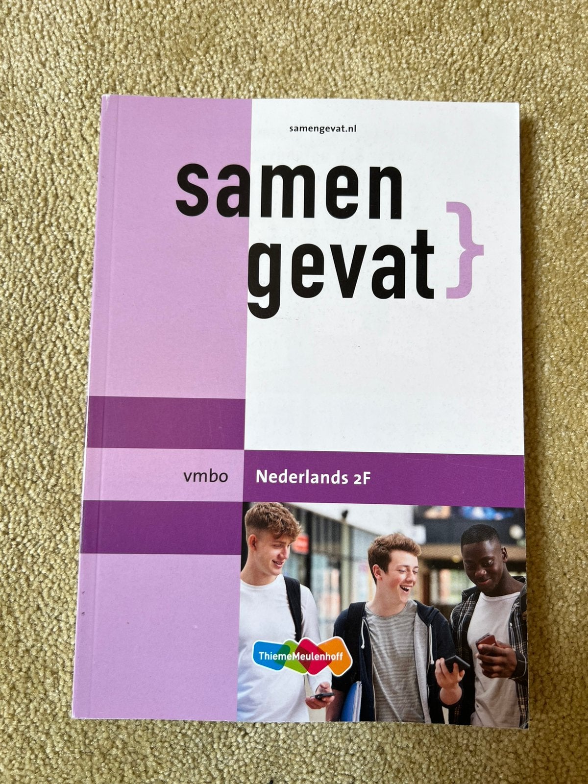 Samengevat Nederlands vmbo, Boeken, Schoolboeken, Ophalen of Verzenden, Zo goed als nieuw, VMBO, Nederlands