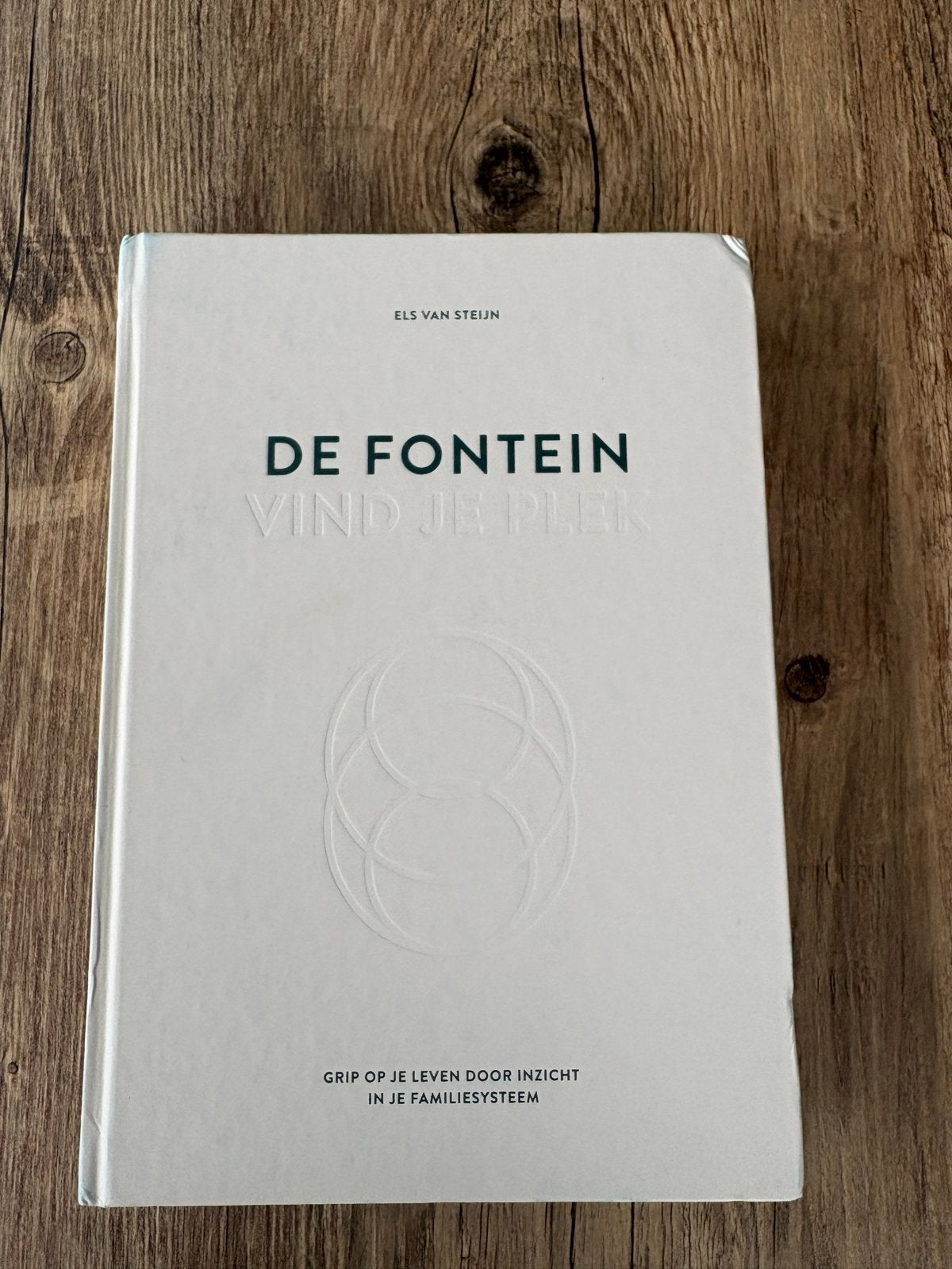 De Fontein: Vind je plek - Els van Steijn, Boeken, Ophalen of Verzenden, Gelezen