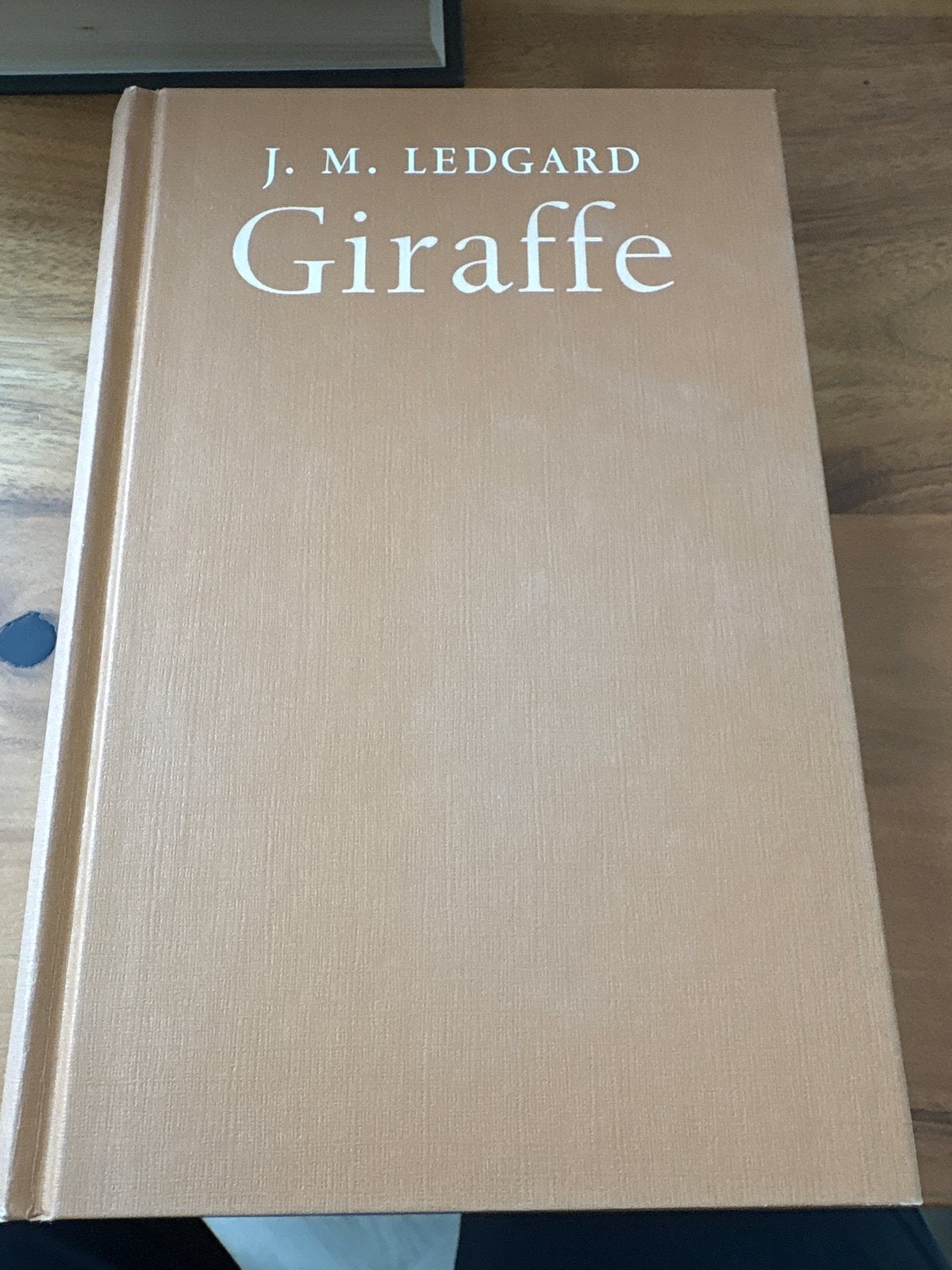 J.M. Ledgard - Giraffe (Hardcover), Boeken, Literatuur, Zo goed als nieuw, Europa overig, Ophalen of Verzenden