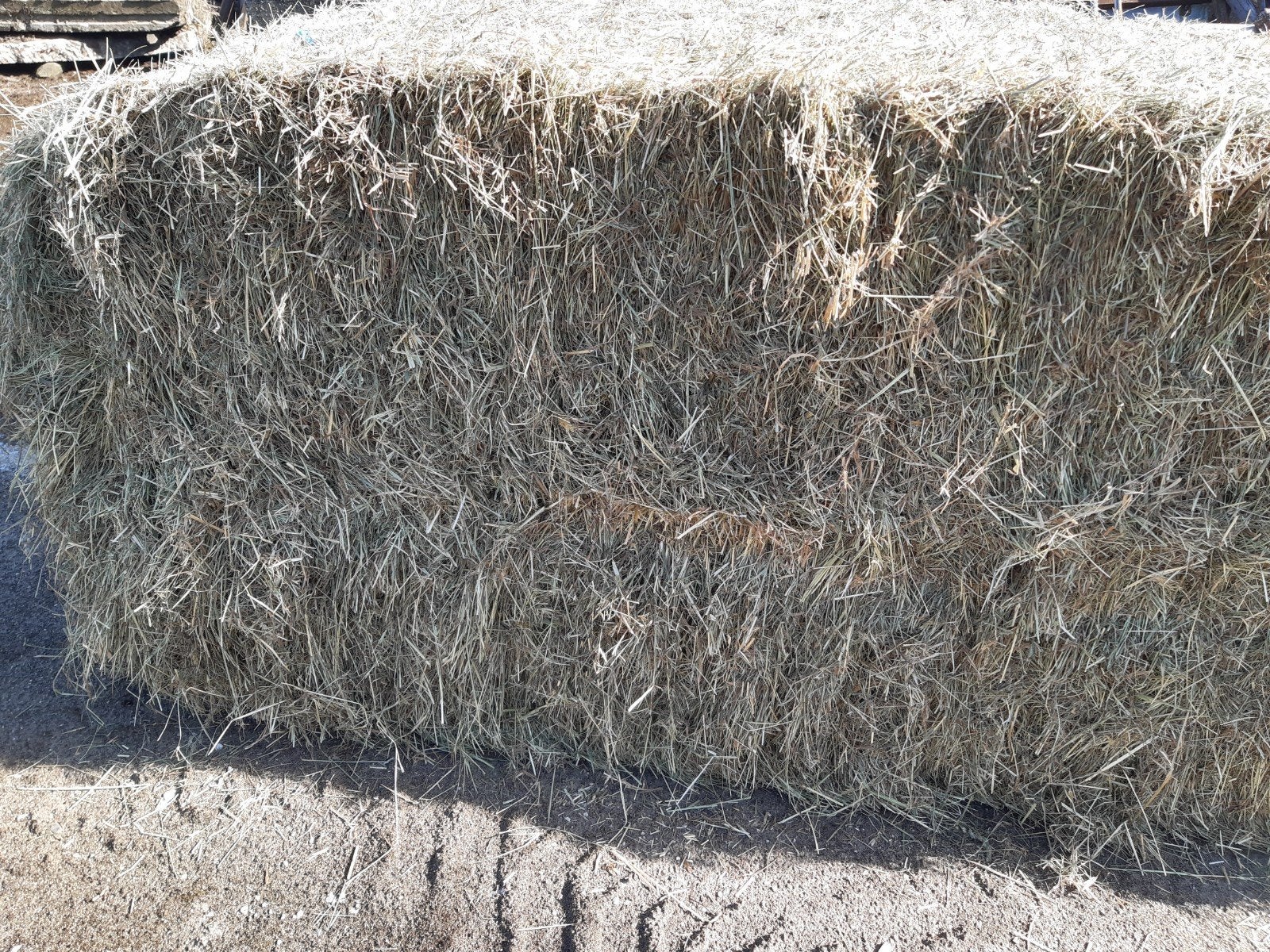 Grote pakken 1e snede A kwaliteit paardenhooi, Ophalen, Vee