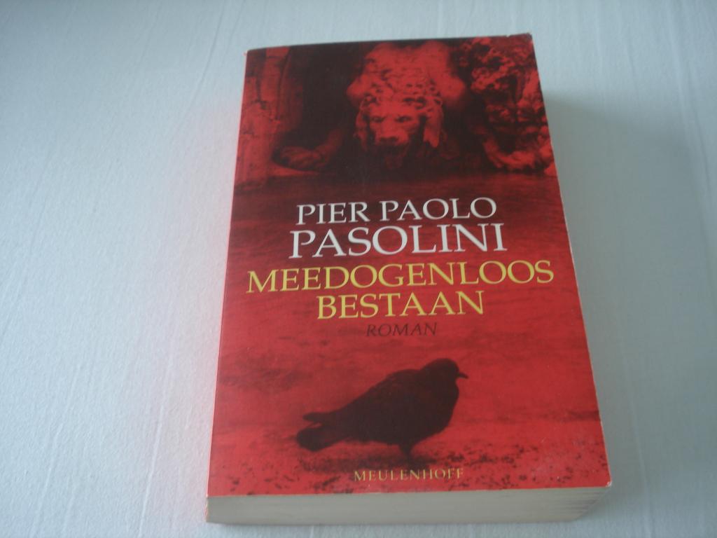 PIER PAOLO PASOLINI - MEEDOGENLOOS BESTAAN, Ophalen of Verzenden, Gelezen