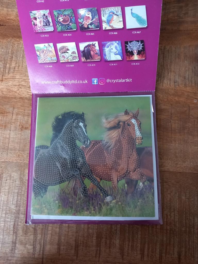 Diamond Painting Kaartenset: Paarden & Dolfijnen, Nieuw, Meerkleurig, Ophalen of Verzenden, Kunststof