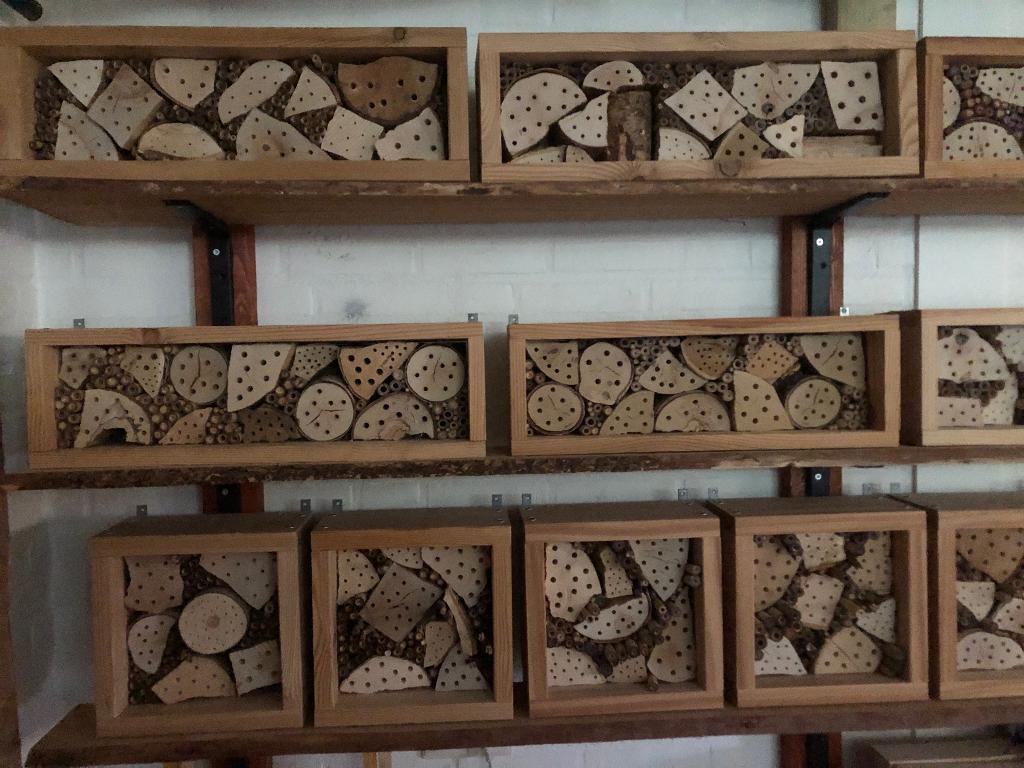 Insectenhotel, Ophalen of Verzenden, Nieuw