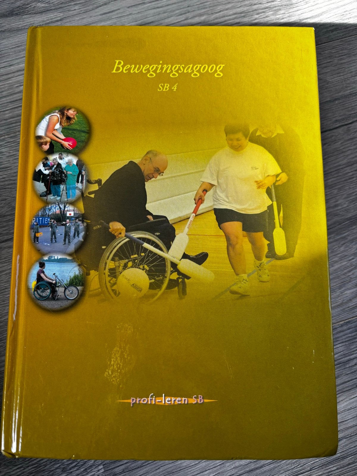 Bewegingsagoog SB 4 - Profi-leren SB, Boeken, Ophalen of Verzenden, Zo goed als nieuw, MBO