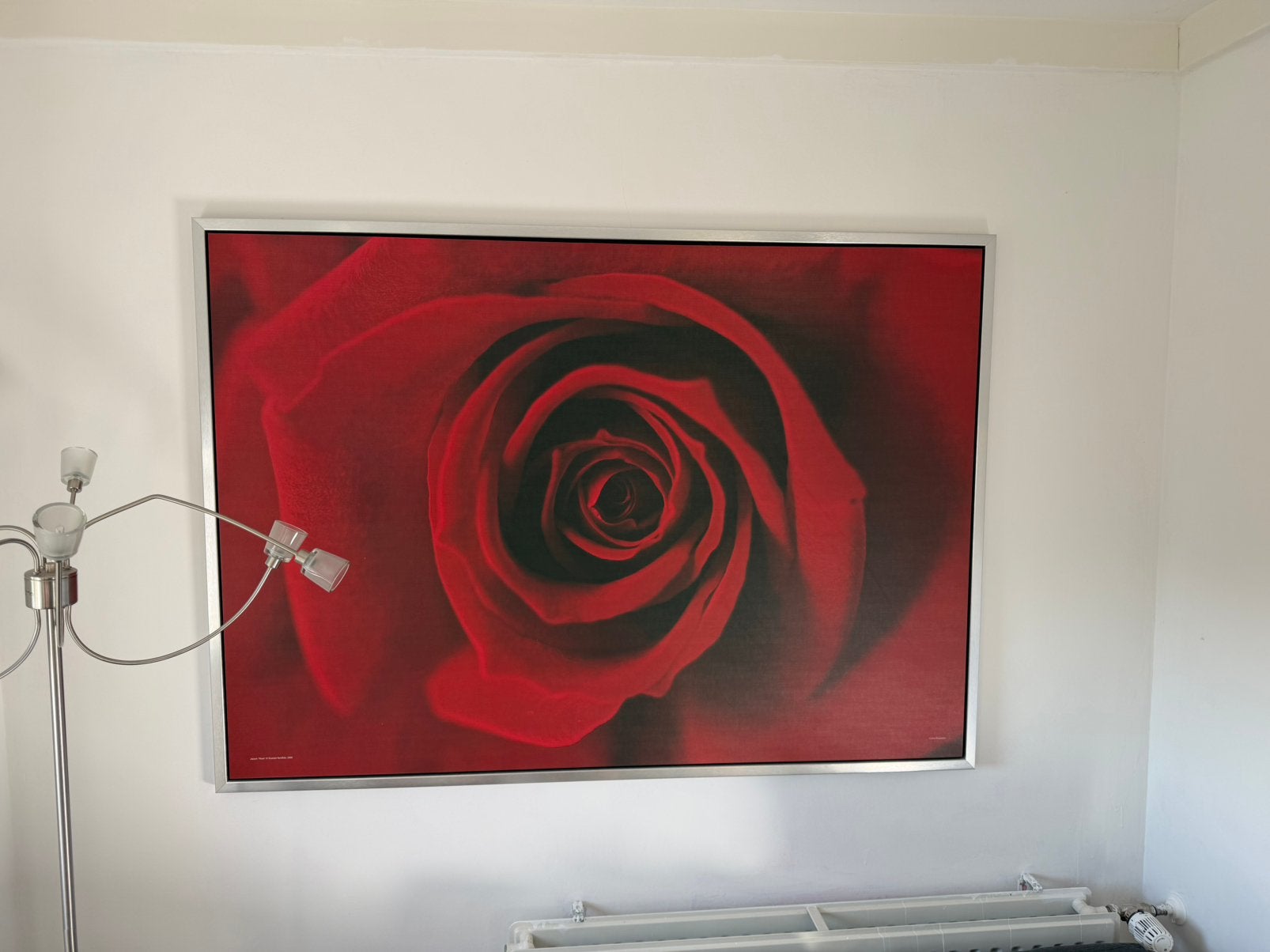 muurdecoratie ikea roos, Ophalen