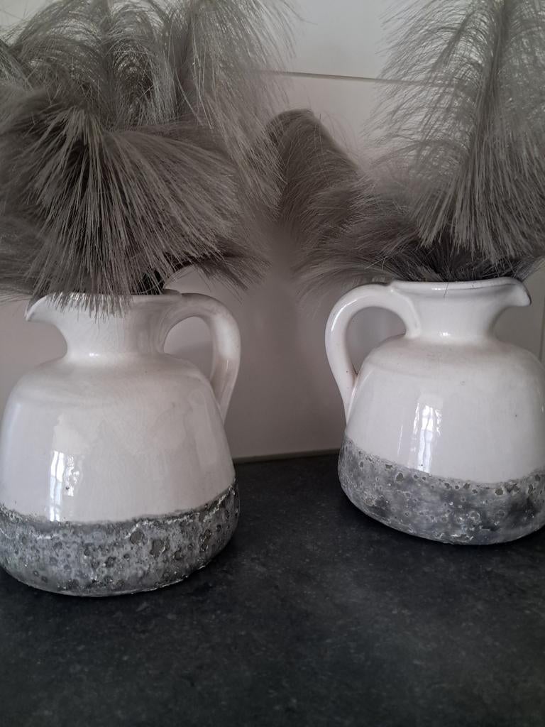 Decoratie kannen met sier pampas, Ophalen
