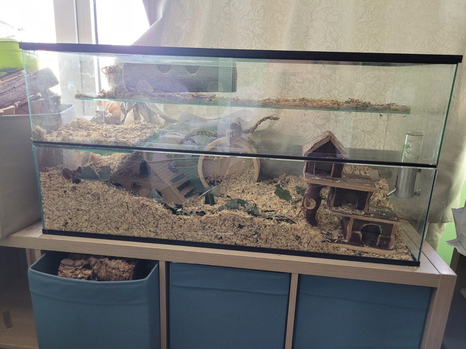 Gerbilarium met inhoud 100 x 50 x 40, Ophalen of Verzenden, Gebruikt, Terrarium of Paludarium