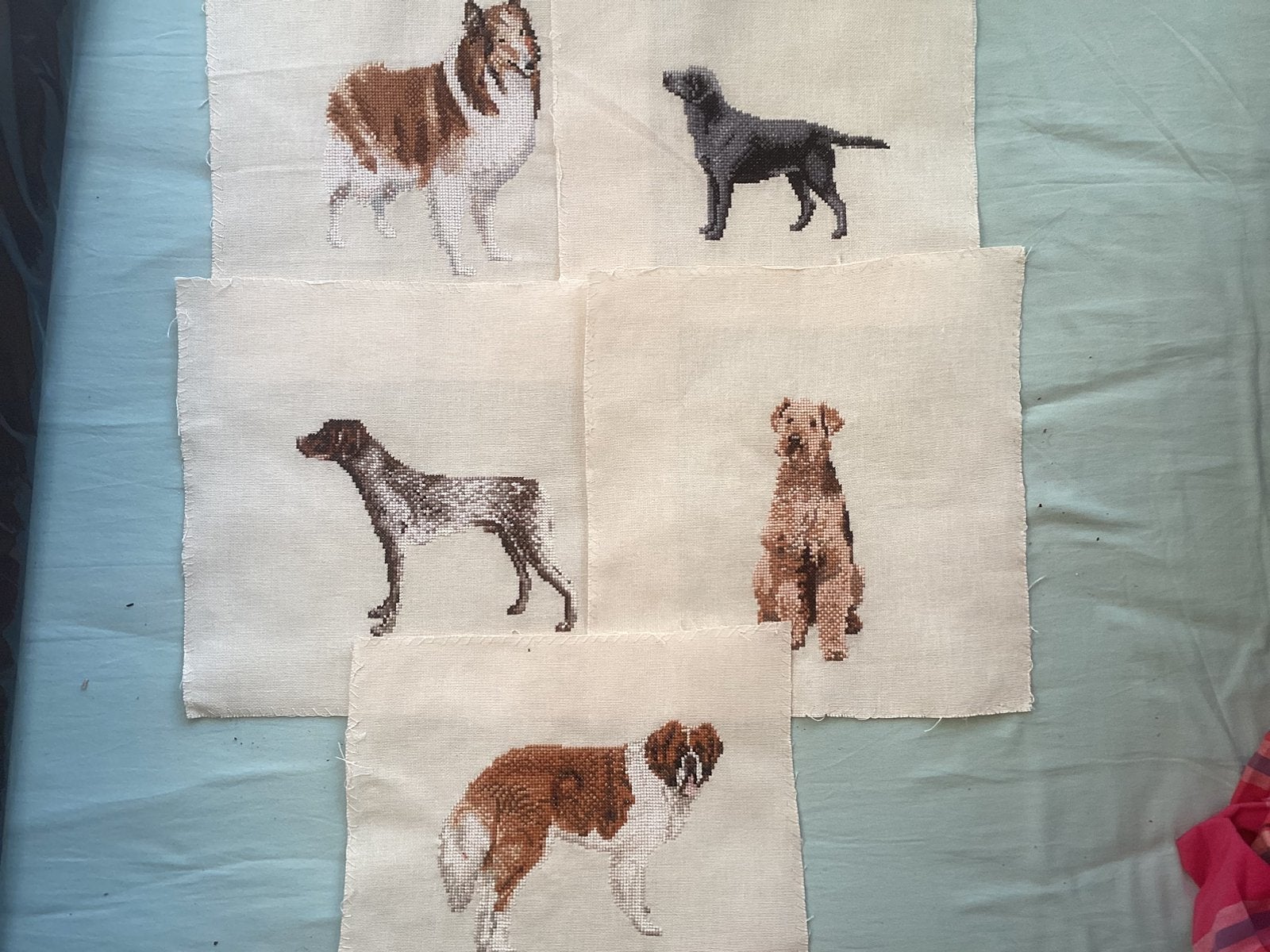 Borduurwerkjes Honden, Ophalen of Verzenden, Patroon