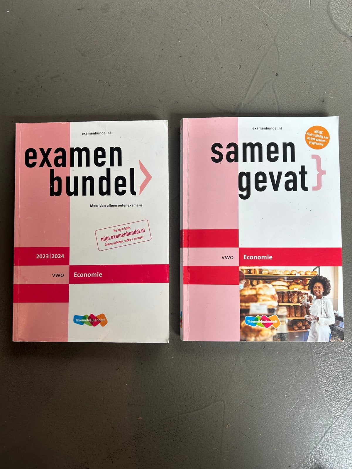 Examenbundel en Samengevat Economie VWO, Boeken, Schoolboeken, Ophalen of Verzenden, Zo goed als nieuw, VWO, Economie