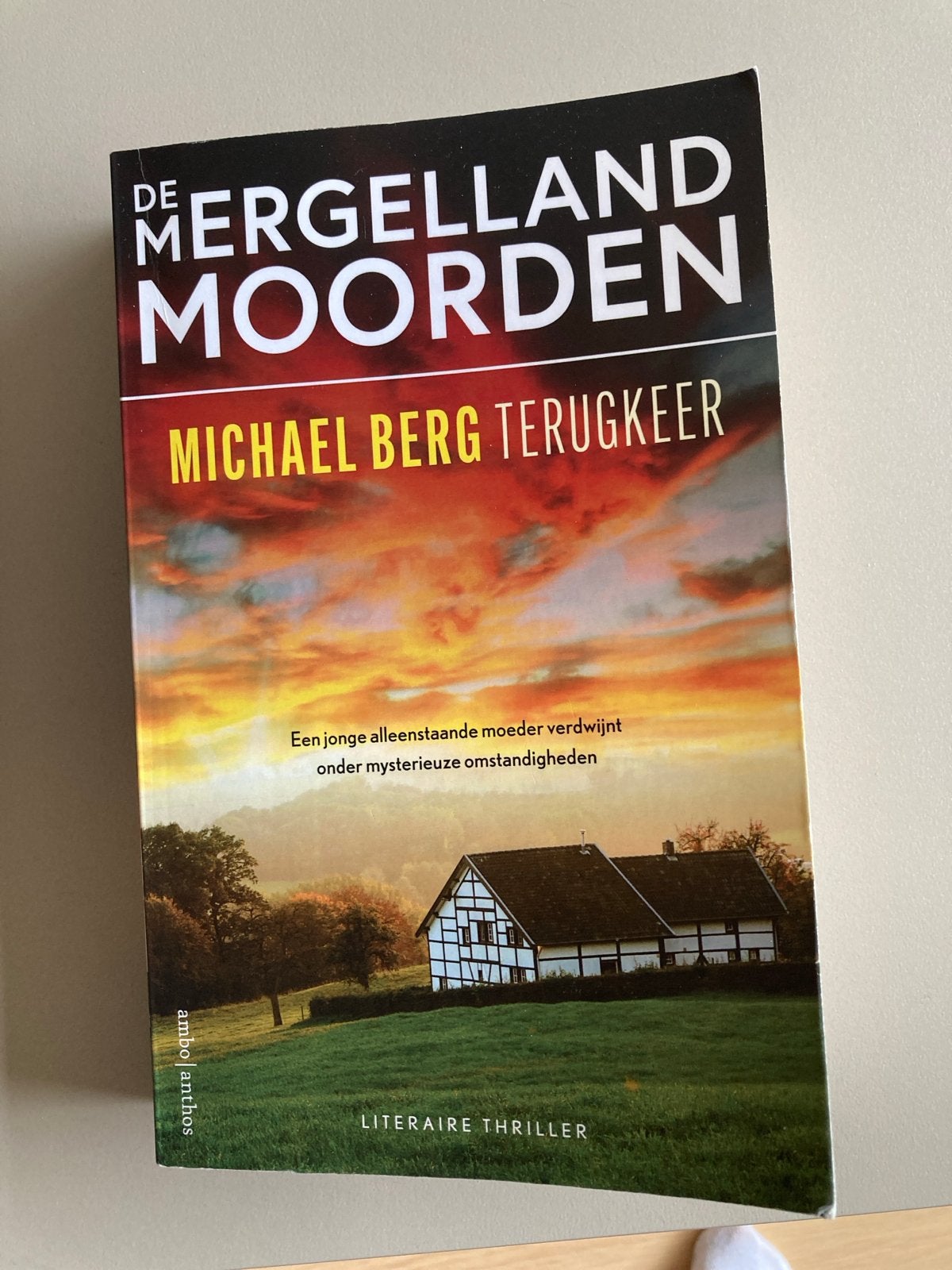 De Mergelland Moorden - Michael Berg Terugkeer, Ophalen of Verzenden, Gelezen, Nederland