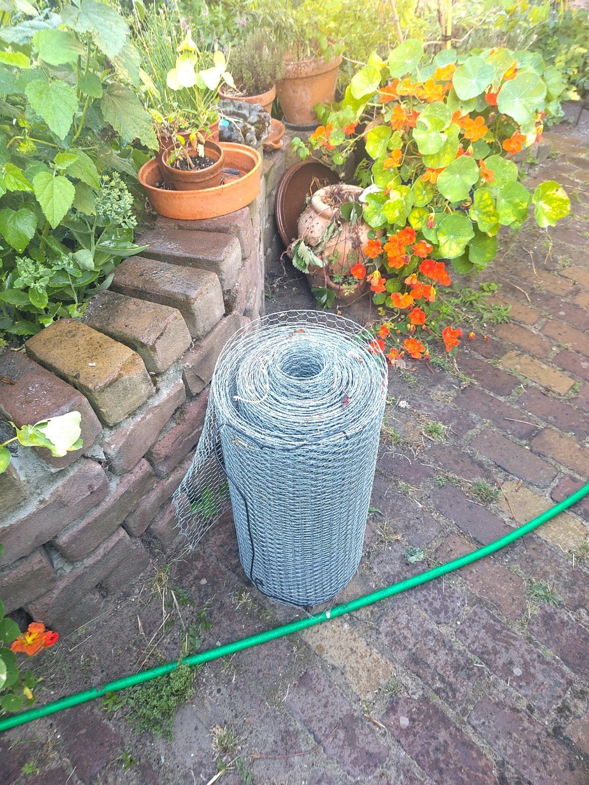 Kippengaas, dikke rol, ca. 18m lang, 50cm breed, Tuin en Terras, Gaas en Draad, Ophalen