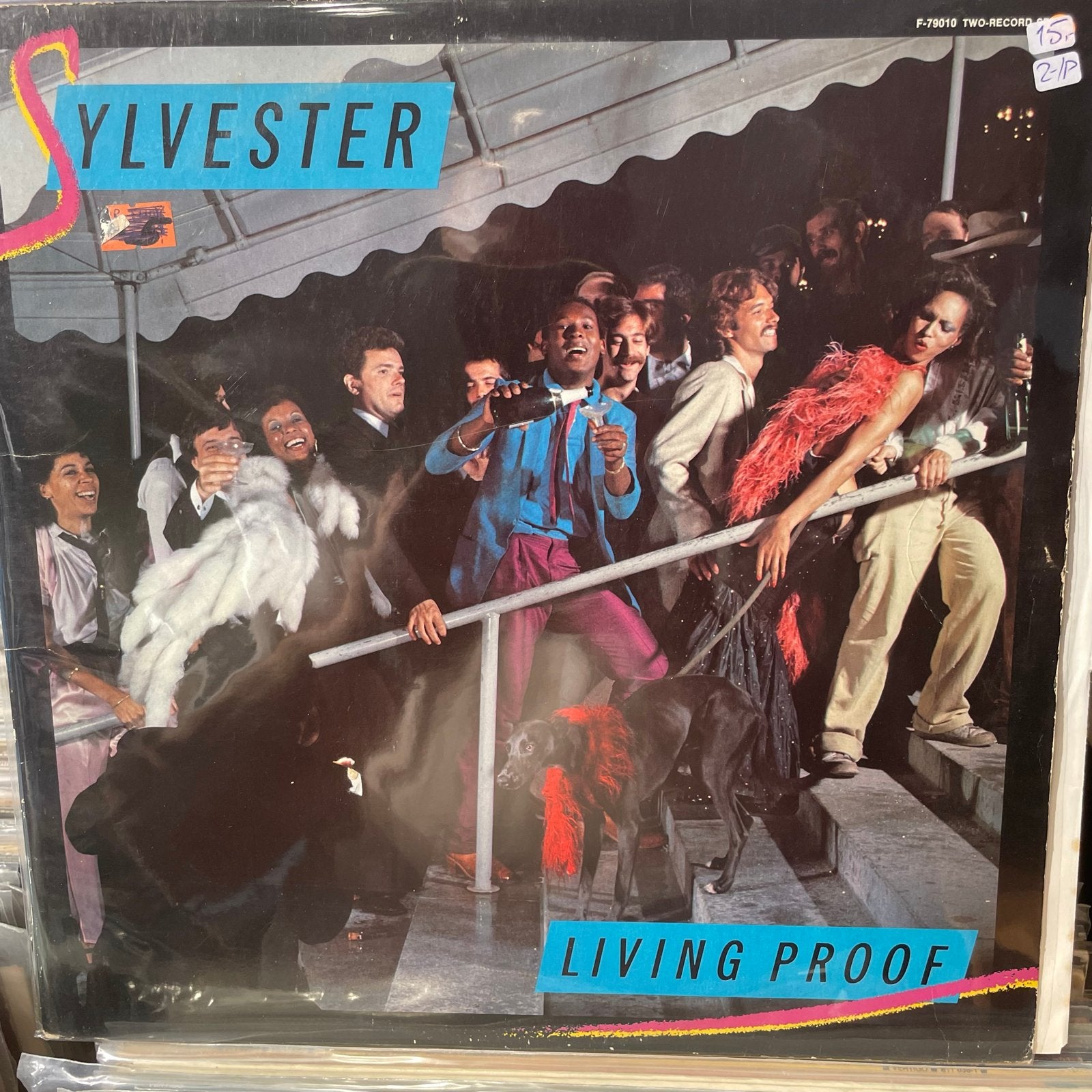 Sylvester - Living Proof (Dubbel-LP), Cd's en Dvd's, Vinyl | R&B en Soul, Ophalen of Verzenden, Gebruikt, 12 inch, Dubbel-LP