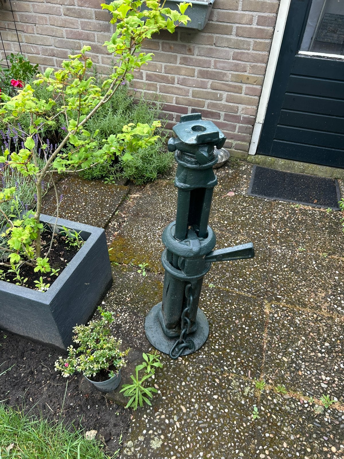 Mijnstut, Ophalen of Verzenden