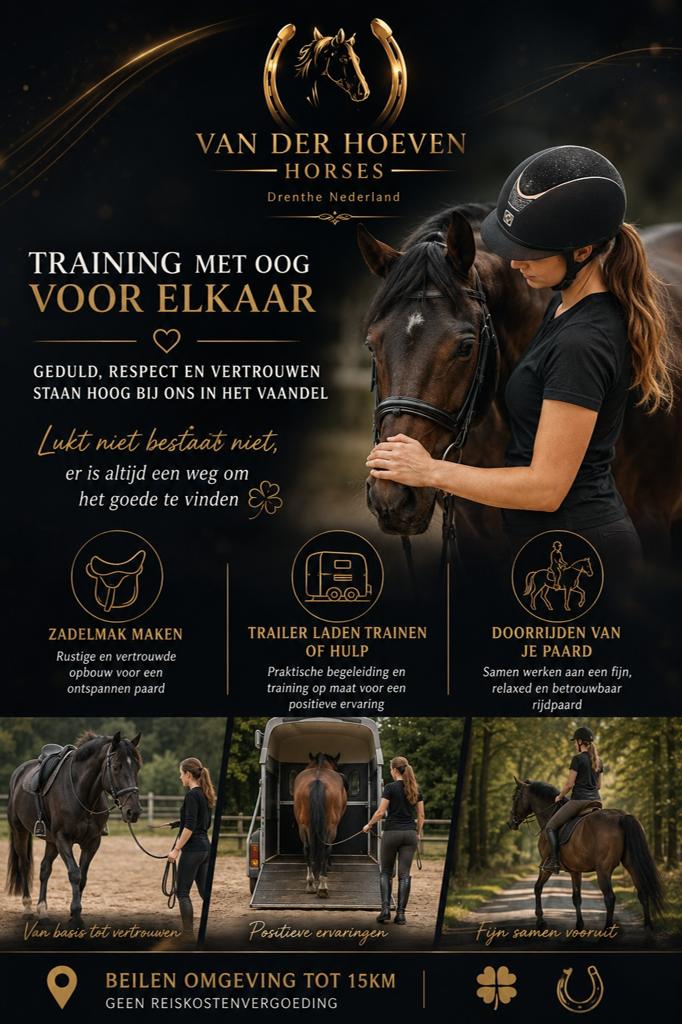 🐴Zadelmak maken doorrijden paard/pony trailerladen hulp☘, Diensten en Vakmensen, Dieren | Paarden | Verzorging, Oppas en Les