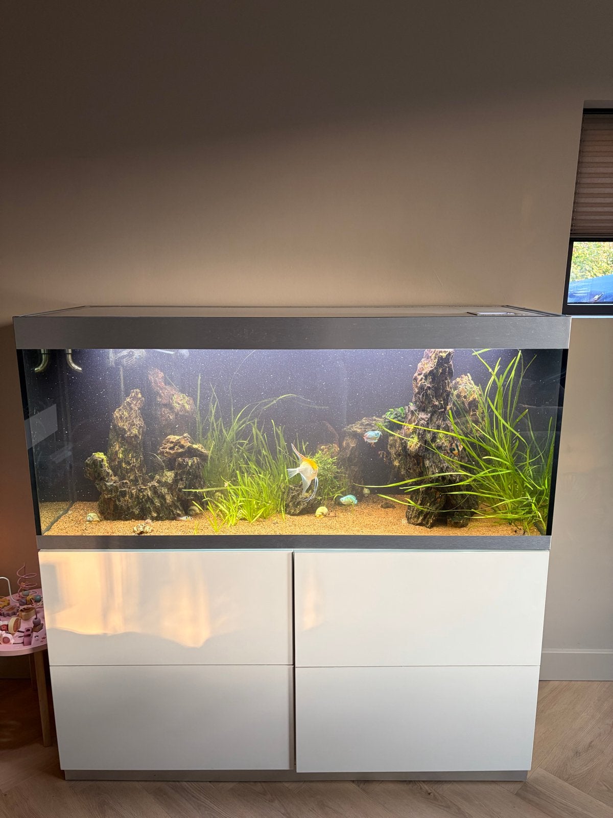 Compleet aquarium oase highline 400 met 2 x Oase BioMaster, Dieren en Toebehoren, Vissen | Aquaria en Toebehoren, Ophalen, Gebruikt
