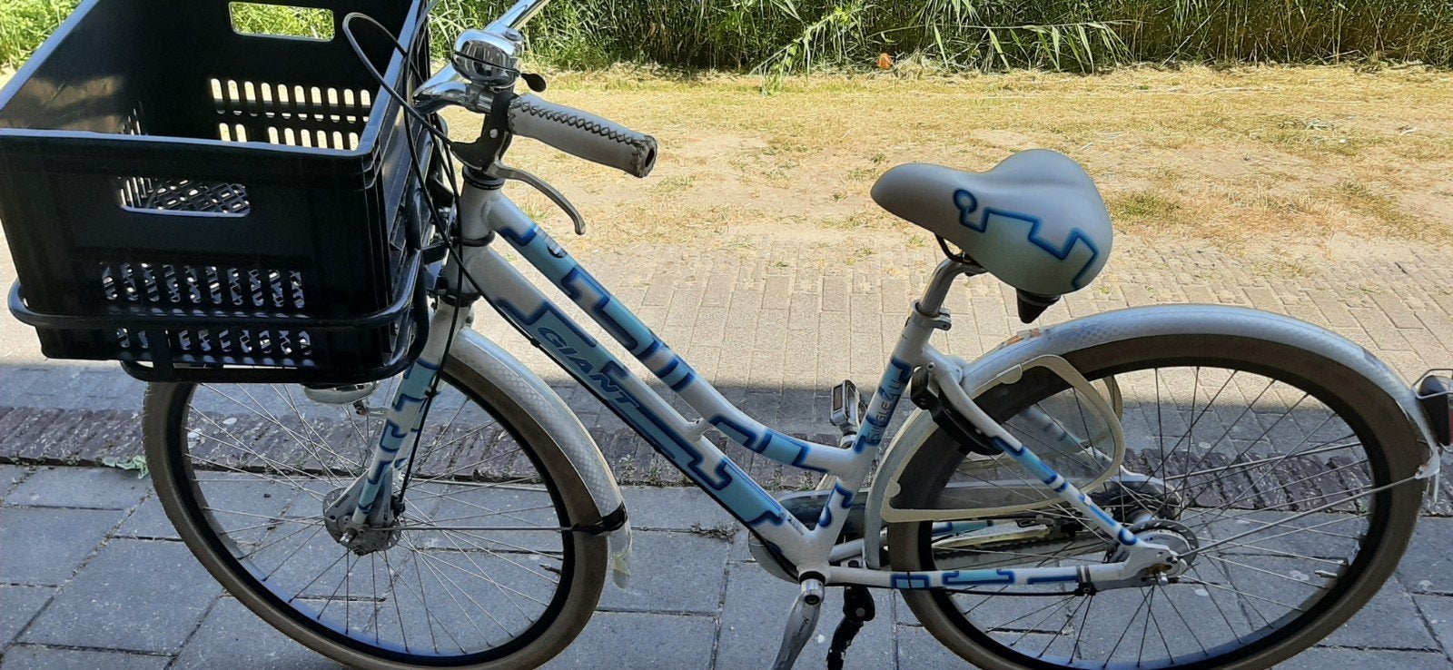 Giant Singlez Damesfiets met Voordrager en Mand, Ophalen, Velgrem, Giant, 50 tot 53 cm
